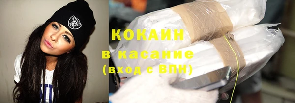 твердый Алзамай