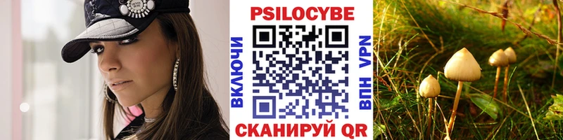 Галлюциногенные грибы ЛСД  как найти наркотики  Зеленогорск 