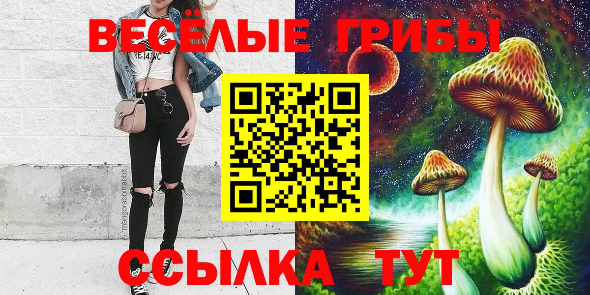 Псилоцибиновые грибы мухоморы Зеленогорск