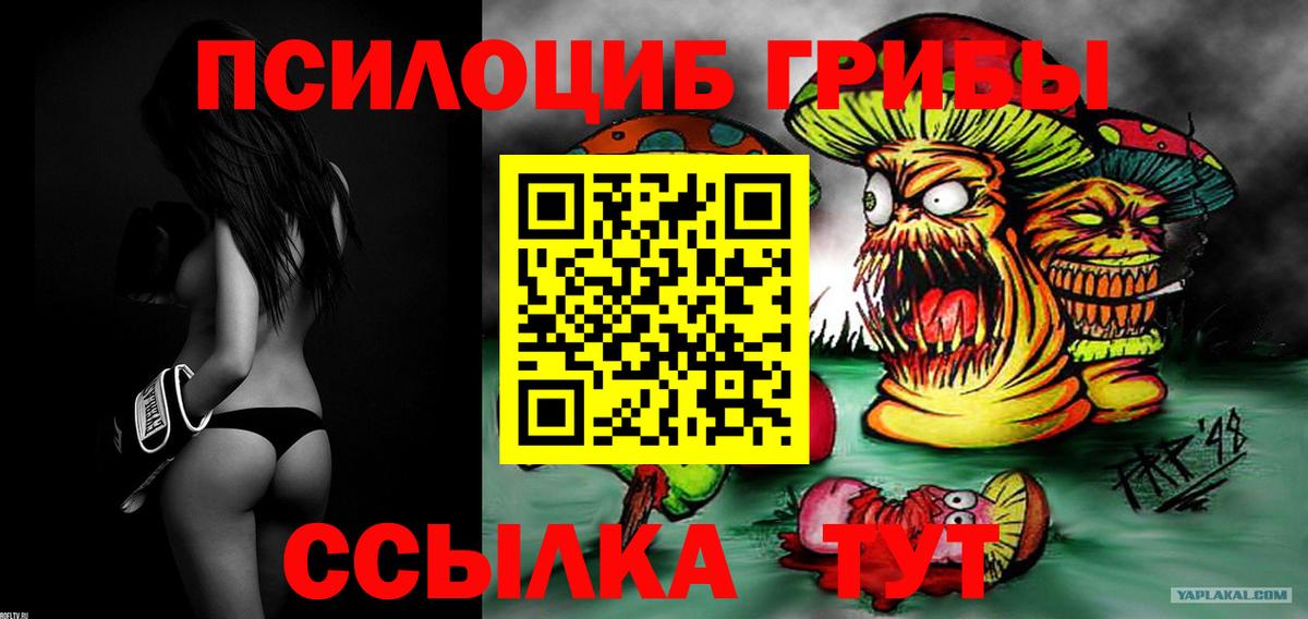 Псилоцибиновые грибы GOLDEN TEACHER  Вход с VPN  Зеленогорск 