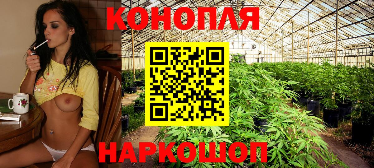 Зеленогорск  Шишки марихуана ГИДРОПОН  Бошки Шишки Amnesia  Каннабис SATIVA & INDICA  Вход с VPN 